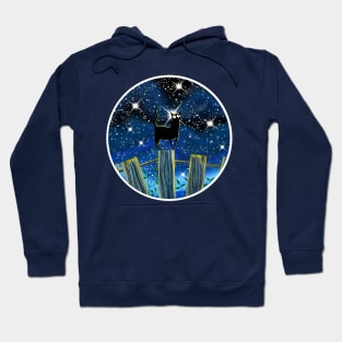 Stargazing Hoodie